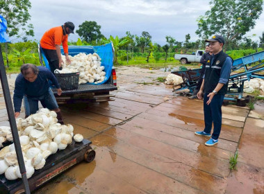 ติดตามการดำเนินธุรกิจรวบรวมผลผลิต (ยางพาราก้อนถ้วย) ... พารามิเตอร์รูปภาพ 8